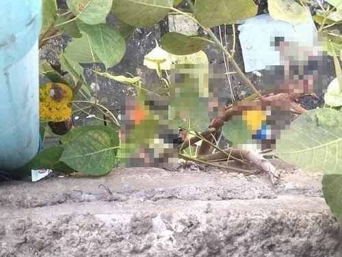 미얀마 젊은이 5명이 군경 급습을 피해 뛰어내린 현장. <SNS 캡처>